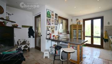 /images/gallery/thumbs/1.Tenuta Ornella_360x207.JPG